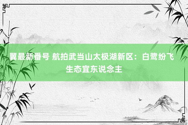 翼最新番号 航拍武当山太极湖新区：白鹭纷飞  生态宜东说念主