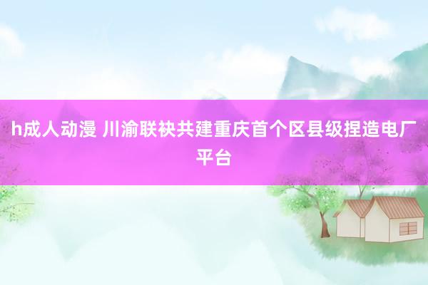 h成人动漫 川渝联袂共建重庆首个区县级捏造电厂平台