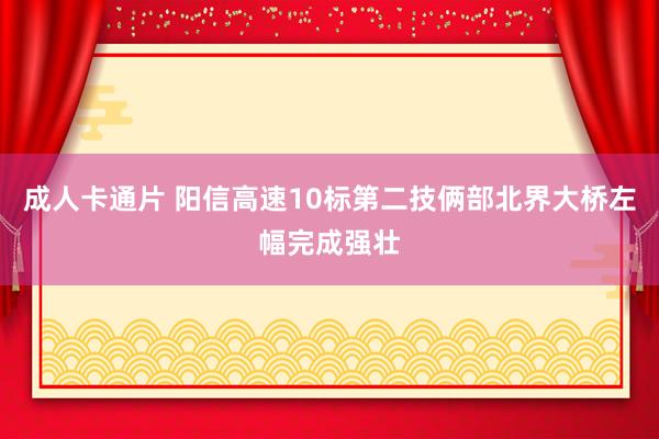 成人卡通片 阳信高速10标第二技俩部北界大桥左幅完成强壮