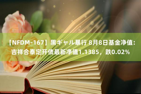 【NFDM-167】黒ギャル暴行 8月8日基金净值：吉祥合泰定开债最新净值1.1385，跌0.02%