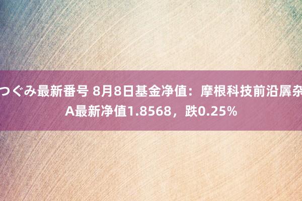 つぐみ最新番号 8月8日基金净值：摩根科技前沿羼杂A最新净值1.8568，跌0.25%