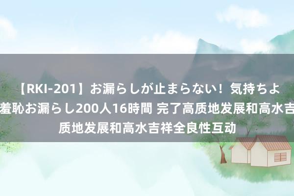 【RKI-201】お漏らしが止まらない！気持ちよすぎる失禁・羞恥お漏らし200人16時間 完了高质地发展和高水吉祥全良性互动