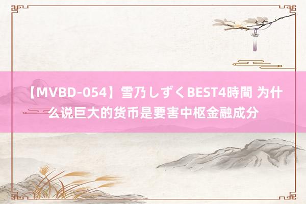 【MVBD-054】雪乃しずくBEST4時間 为什么说巨大的货币是要害中枢金融成分