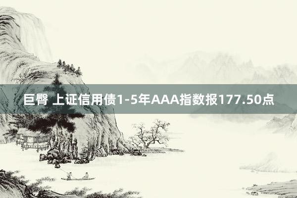 巨臀 上证信用债1-5年AAA指数报177.50点