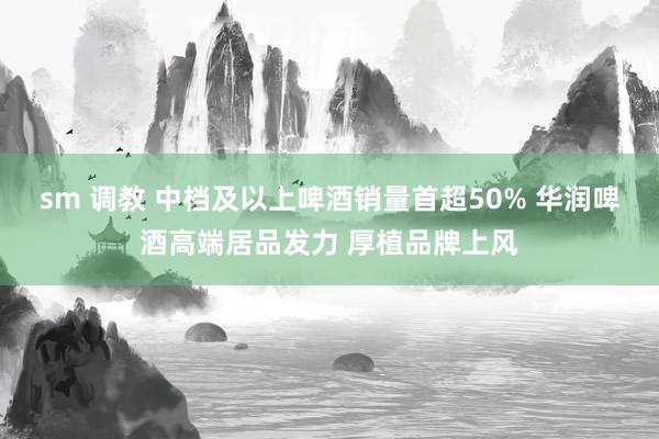 sm 调教 中档及以上啤酒销量首超50% 华润啤酒高端居品发力 厚植品牌上风