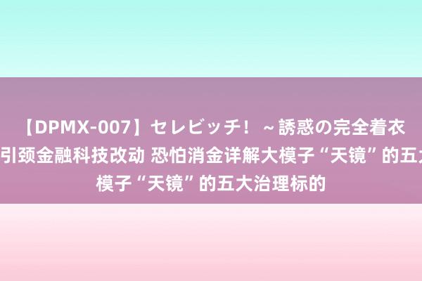 【DPMX-007】セレビッチ！～誘惑の完全着衣～ KAORI 引颈金融科技改动 恐怕消金详解大模子“天镜”的五大治理标的