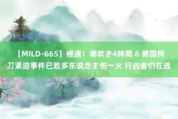 【MILD-665】極選！潮吹き4時間 6 德国持刀紧迫事件已致多东说念主伤一火 行凶者仍在逃