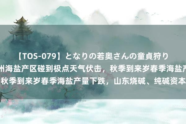 【TOS-079】となりの若奥さんの童貞狩り 3 美月 潍坊、东营、滨州海盐产区碰到极点天气伏击，秋季到来岁春季海盐产量下跌，山东烧碱、纯碱资本或升高