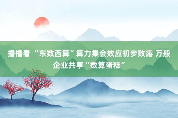 撸撸看 “东数西算”算力集会效应初步败露 万般企业共享“数算蛋糕”