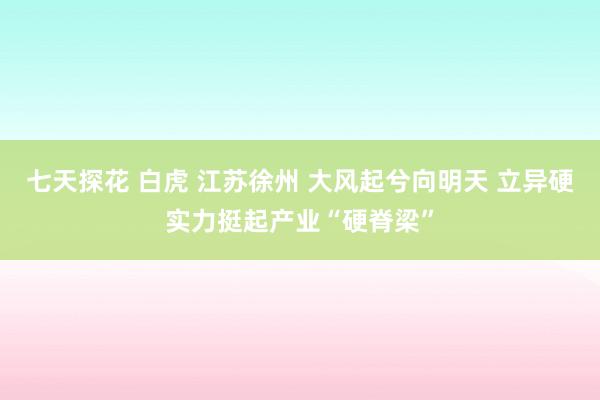 七天探花 白虎 江苏徐州 大风起兮向明天 立异硬实力挺起产业“硬脊梁”