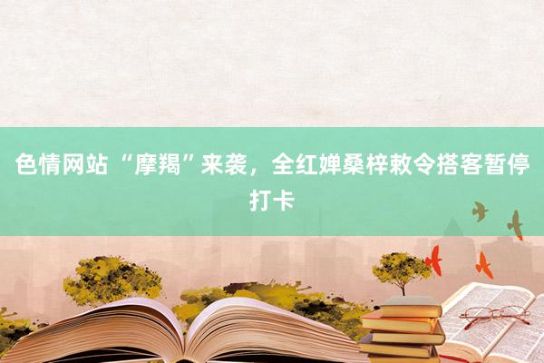 色情网站 “摩羯”来袭，全红婵桑梓敕令搭客暂停打卡