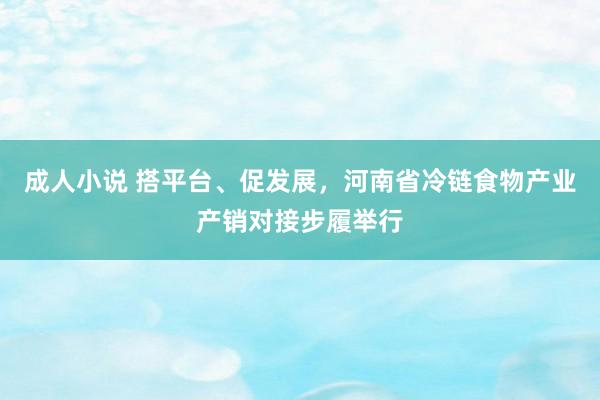 成人小说 搭平台、促发展，河南省冷链食物产业产销对接步履举行