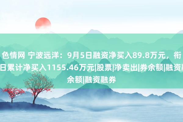 色情网 宁波远洋：9月5日融资净买入89.8万元，衔接3日累计净买入1155.46万元|股票|净卖出|券余额|融资融券