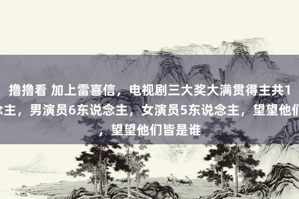 撸撸看 加上雷喜信，电视剧三大奖大满贯得主共11东说念主，男演员6东说念主，女演员5东说念主，望望他们皆是谁