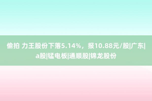 偷拍 力王股份下落5.14%，报10.88元/股|广东|a股|锰电板|通顺股|锦龙股份